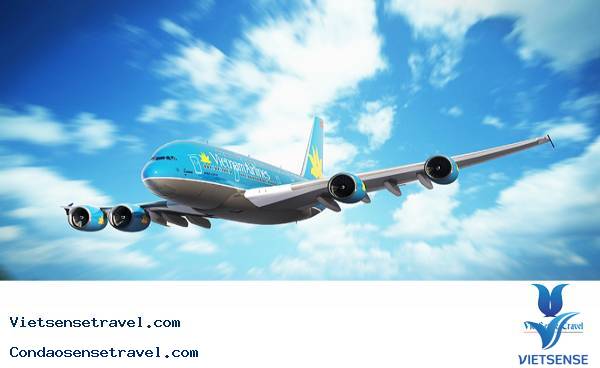 2. Phương tiện đi lại khi đi thăm quan Côn Đảo - Ảnh 2 2. Phương tiện đi lại khi đi thăm quan Côn Đảo - Ảnh 2